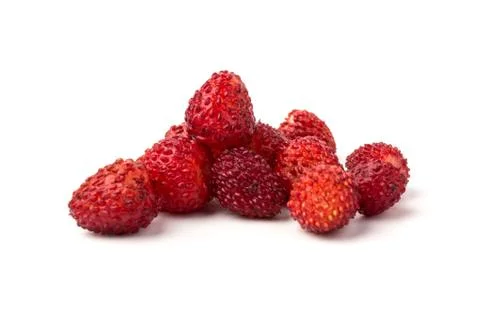 Macro view wild strawberry on white background. Forest red berries Stock Photos