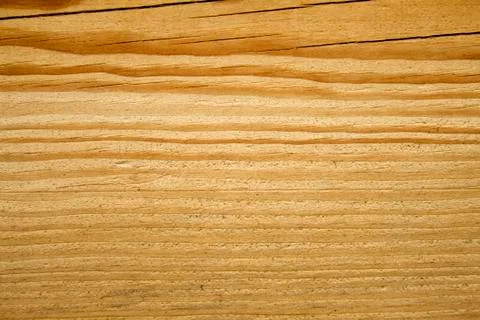 Macro view of the wood texture Stock-Fotos