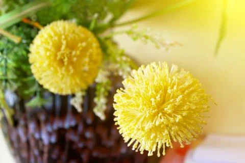 Macro view of yellow flower Stock Photos