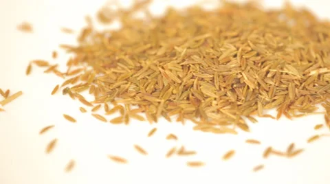 Macro view of zira spice in shallow focus Stock Footage 56058490