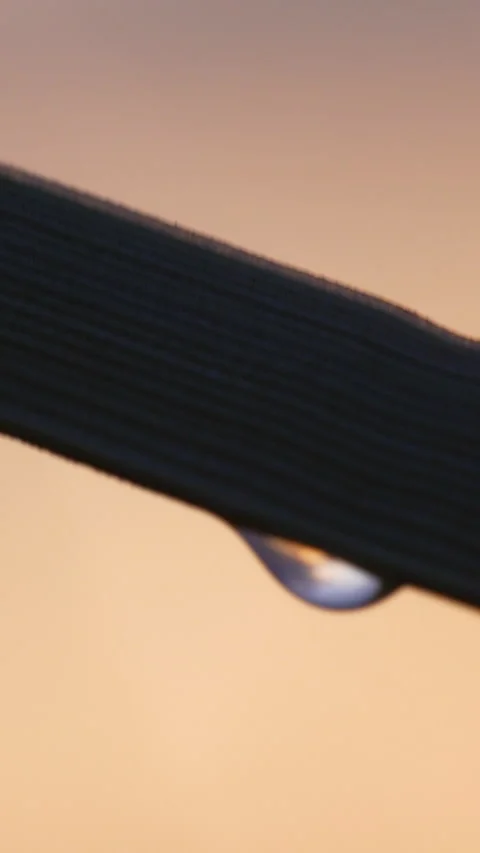 Macro Water Drop On Grass Blade At Sunrise In Gdynia Orlowo 스톡 동영상 331140645