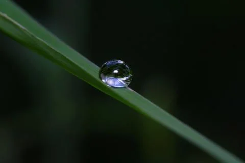 Macro water droplet on a leaf Stock Photos