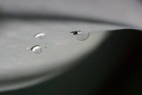 Macro of water droplets on a leaf Stock Photos