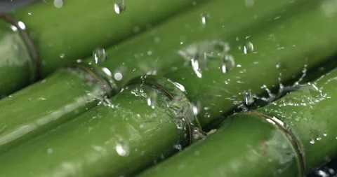 Macro of water drops dripping on fresh bio organic green bamboo stems Stock-Footage 268435663