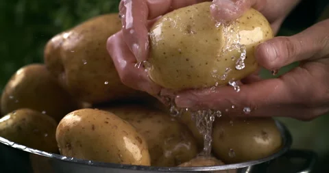 Macro of water drops fall on raw organic potatoes while being washed in colander Stock Footage 268990048