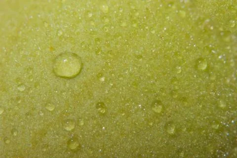 Macro water drops Stock Photos
