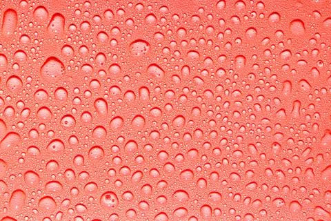 Macro water drops texture. 写真素材