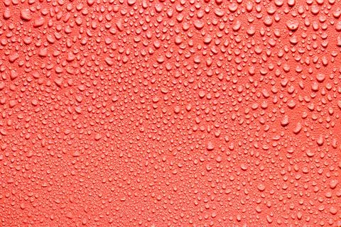 Macro water drops texture. Stock Photos