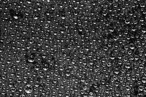 Macro water drops texture. Stock Photos