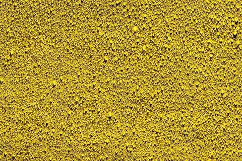 Macro water drops texture. Stock Photos