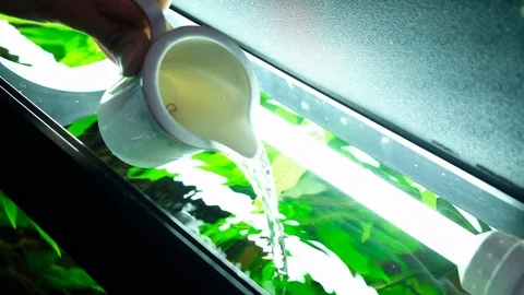 Macro: Water 스톡 동영상 119227852