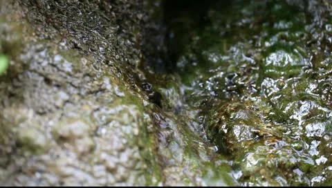 Macro: Water stream down rock Stockbeeldmateriaal 11016768