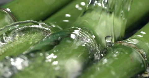 Macro of water stream splashes on fresh bio organic green bamboo stems Stock-Footage 268435425