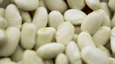Macro white beans texture fill frame 4k 10bit Stock Footage 333582671