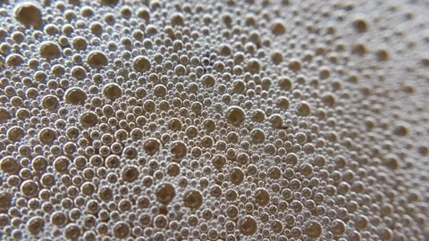 Macro of white foam texture Stock Footage 321665127