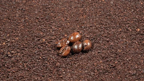 Macro Whole Roasted Coffee Beans On Ground Coffee Rotating Video stock 331932028