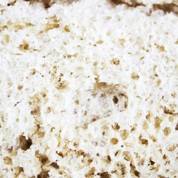 Macro of wholemeal bread texture Foto stock
