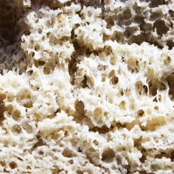 Macro of wholemeal bread texture Stock Photos