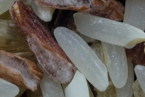 Macro of Wild Rice Stock Photos