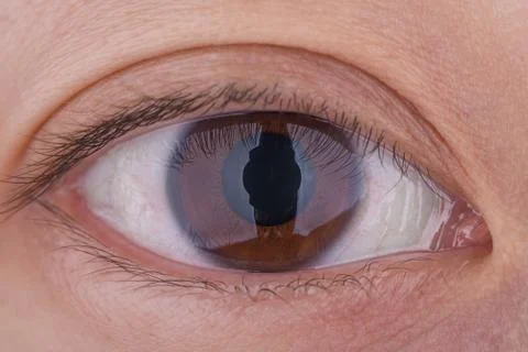 Macro Woman's Eye Stock Photos