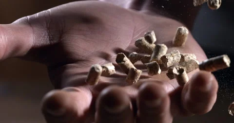 Macro of wood compressed pellets falling on workers hand for quality control Stock Footage 268815981