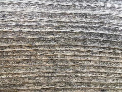 Macro wood texture Stock Photos