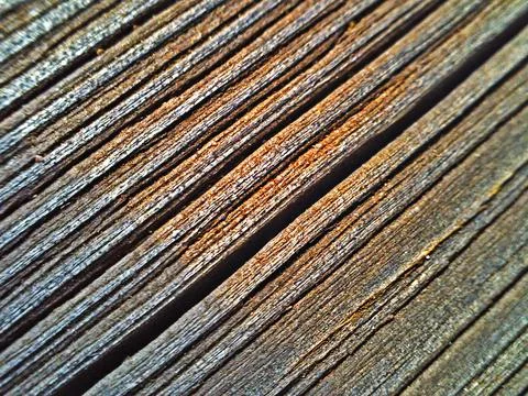 Macro of wood texture Stock Photos