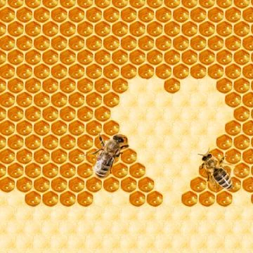 Macro of working bee on honeycells. Stock Illustration