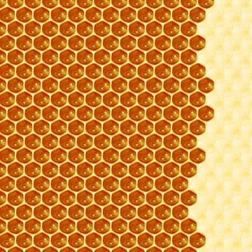 Macro of working bee on honeycells. Stock Illustration