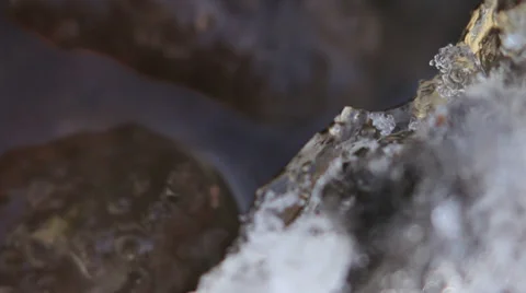 Macro World 3 Stock Footage 34457319