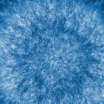 Macro x-ray shot of fuzzy mold Stock Photos