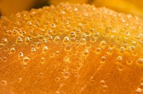 Macro yellow bubble texture,Yellow bubbles and drops of oil background . Yellow Stock Photos