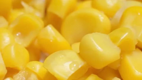 Macro yellow corn Stock Footage 229449310