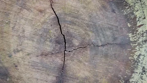 Macro zooming shot of a cracked tree stump cross section showing annual gro.. Video stock 337582989