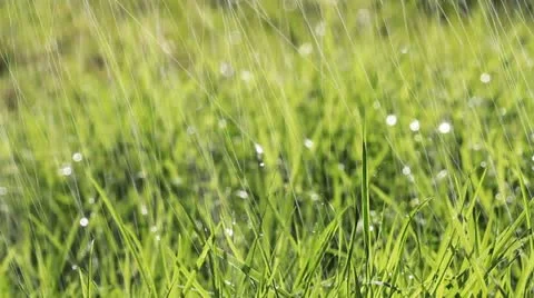 Macro,close up of water spray on green grass Stock Footage 12410384