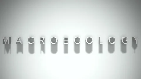 Macroecology 3D title animation with shadows on a white background Stock Footage 297818374