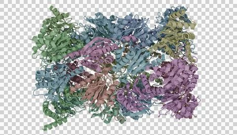Macromolecule illustration Stock-Illustration