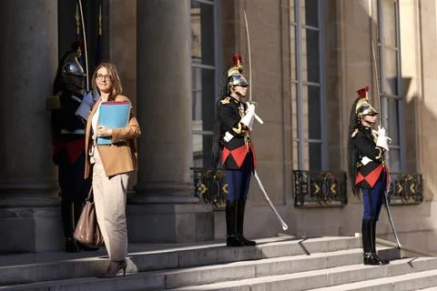 Macron convenes third plenary session of the CNR at the Elysee, Paris, France -  Foto stock