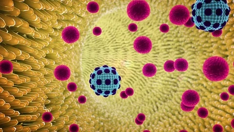 Macrophage and fat cells inside the blood vessel Stock Footage 102223915