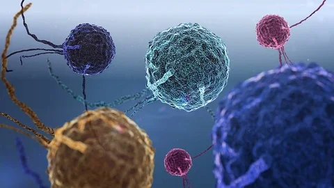 Macrophage and Phagocyte Stock Footage 74132867