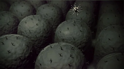 Macrophage and virus Stock Footage 125637972