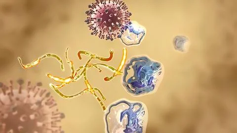 Macrophage attack on cells. 3D illustration Microscopic image 스톡 일러스트