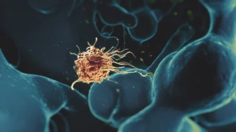 Macrophage catching and consuming a bacterium. Phagocytosis. Stock Footage 165038853