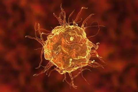 Macrophage cell, close-up view Stock Illustration