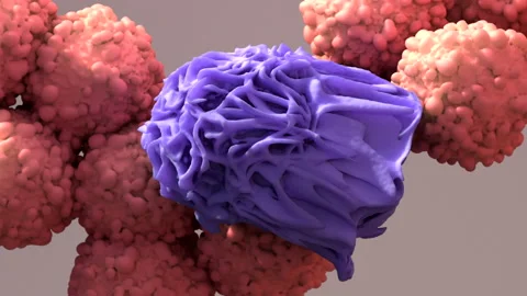 Macrophage devouring a cancer cell Stock Footage 178656429