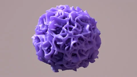Macrophage devouring a cancer cell, immune cells capable of physically ingesting Stock Footage 153635743
