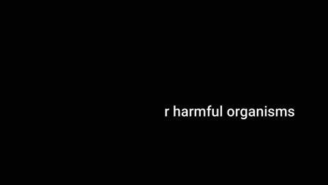 Macrophage eating bacteria Stock Footage 205074052