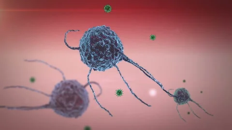Macrophage kills the viruses Vidéo 57644632