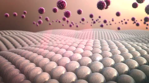 Macrophage, virus Stock Footage 43725170