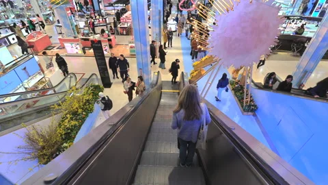 Macy’s Flower Show 2023 is opened at Herald Square in New York City Stock Footage 237409666